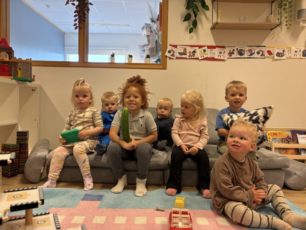 Fyrsta uppskeran úr gróðurhúsinu