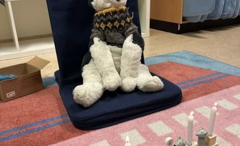 Afmælisbarn dagsins