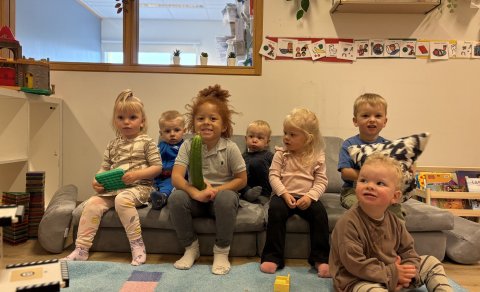 Fyrsta uppskeran úr gróðurhúsinu